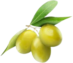 Zeytin
