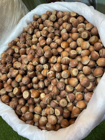 Fındık 500 Gr